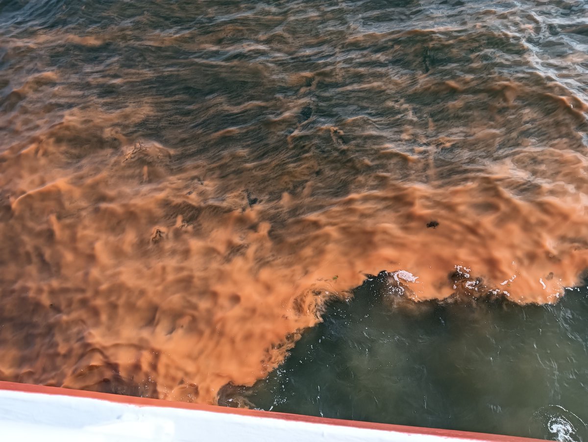AIRCentre_org's tweet photo. 🛥️#LabPlasProject field campaign concluded! Thank you all the team for a very fruitful campaign, w/ plenty of sample collections for analysis! Upon return, a phytoplankton bloom was encountered, possibly N. scintillans, confirming the #satellite images🛰️ More info on this soon! https://t.co/IWbYUIuxsP
