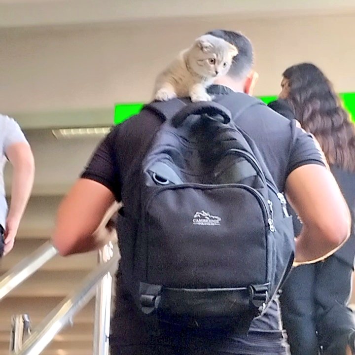 ncutenpsycho's tweet photo. Çabuk bugün Bursa Metrosunda gördüğüme bakın çabuk 🤗🤗🤗 https://t.co/XnbI3GABK4