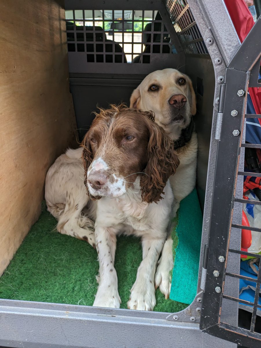 RPD Zac isn’t going to let the cage partition get in his way of getting up close and personal with his new best friend PD Katie 🤣
