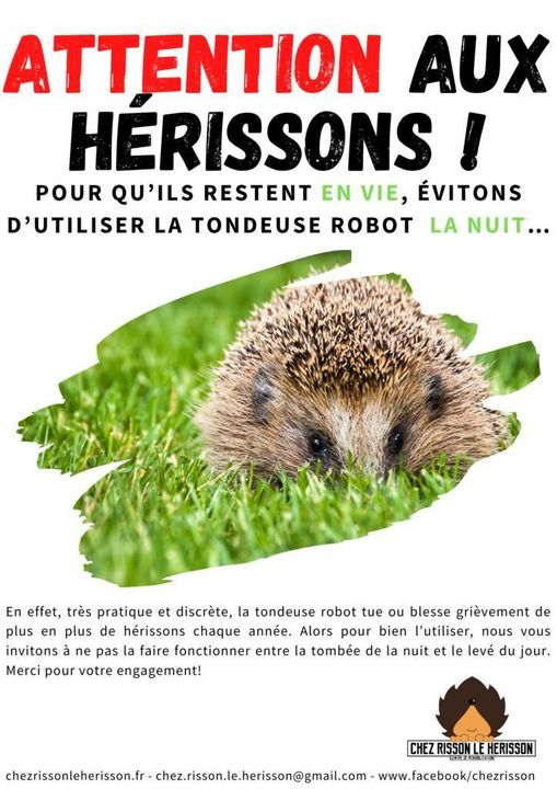 Loovenelle's tweet photo. *** A DIFFUSER UN MAX *** https://t.co/3Cjq5F4r2L