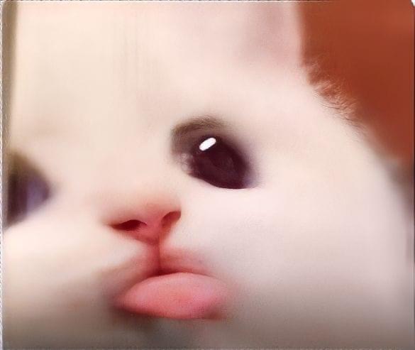 Polaris_Rin's tweet image. おはよう〜みんな🍉
ちょっと似てるじゃん😆😆😆
#POLARIS2023 #ベトナムアイドル  #ポラリス #rinnie_polaris #不忘初心