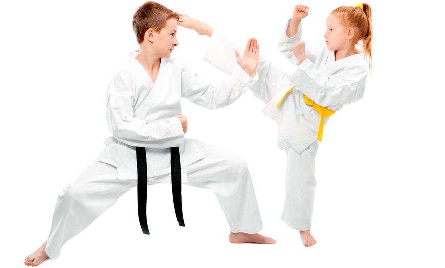 RocklinParksRec's tweet image. Karate starts TOMORROW July 6th!  There is still time to enroll!

Sign up today! bit.ly/45Y8j5w

#RocklinParksRec #karateclass #karatelife #karatefitness #karate #karatetraining