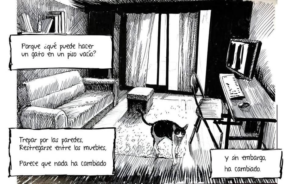 _luviano_'s tweet photo. "Morir, eso no se le hace a un gato..." https://t.co/emi1PbrbD2