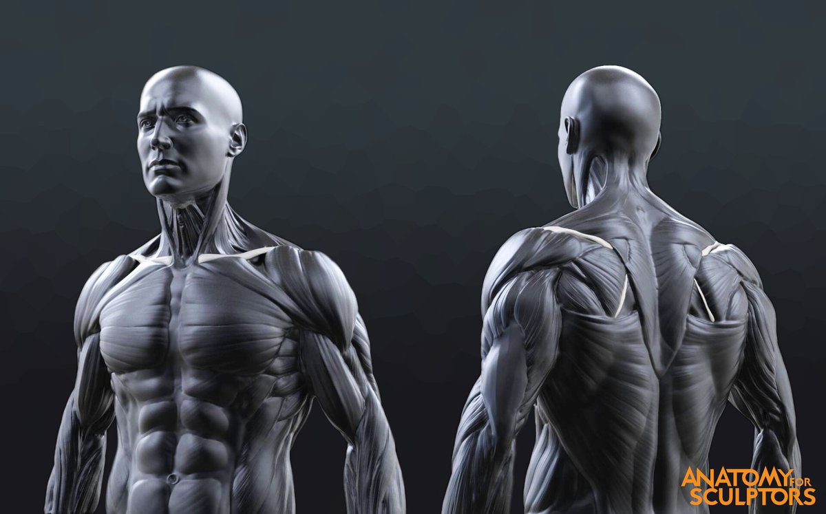 JacobMitcheIl's tweet photo. "Unleash the power of imagination with our stunning 3D characters. From concept to creation, let us bring your visions to life. "Inspiration design❤️"
#3dcharacter #3Danimation #3DModel #modelcharacter #GraphicDesigner #blender #Creativewonders https://t.co/JJR3EHVT1r
