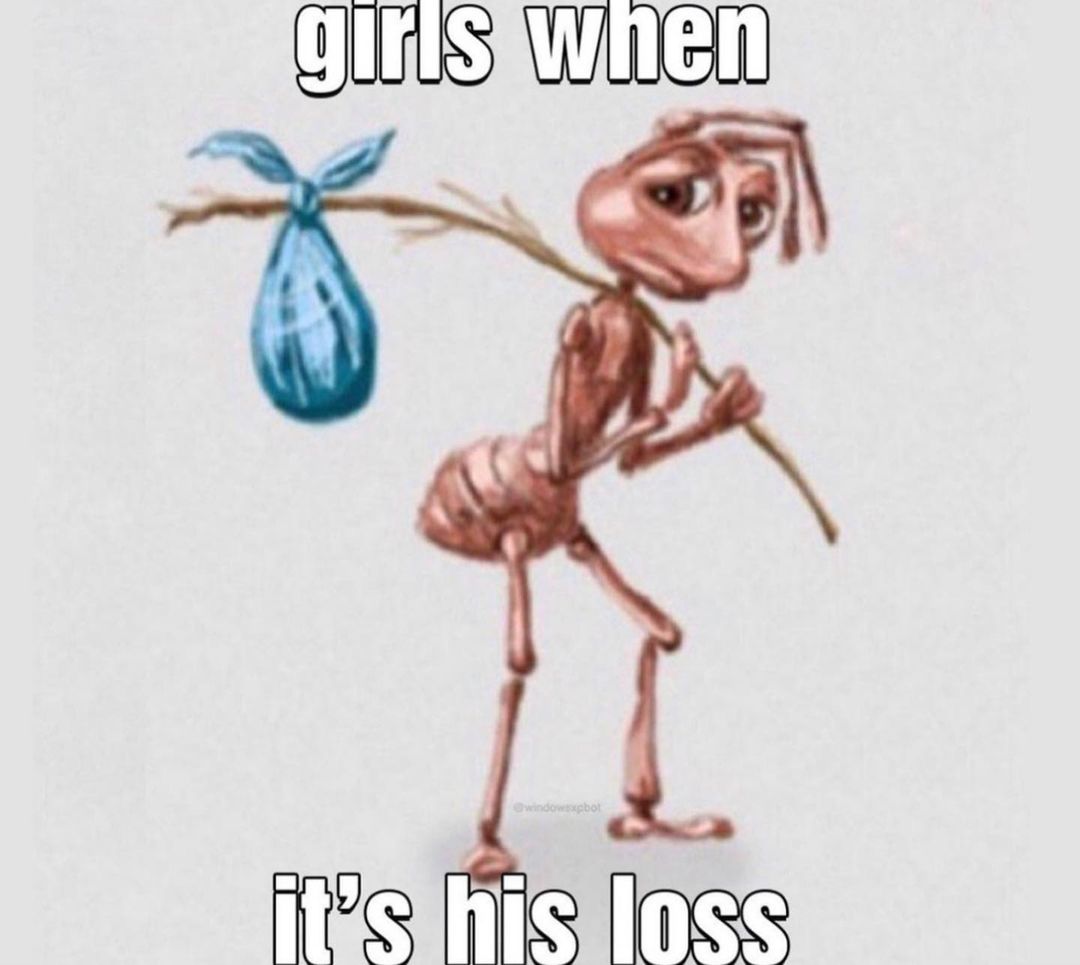 ✧ (@northstardoll) on Twitter photo 