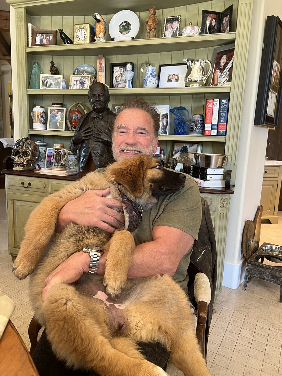 Arnold Schwarzenegger tweet media