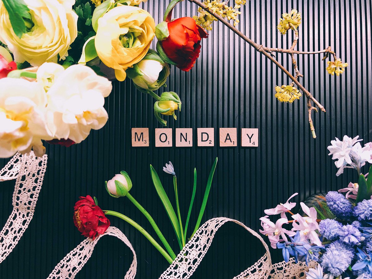 BossartHaugen's tweet image. Mondays can be pretty bland, remember to throw some color into your day.
.
.
.
#mondays #becolorful #mondayvibes #smilebright #behappy #mondayfeels #conqueryourday #positivemindset #positivevibes #happymonday