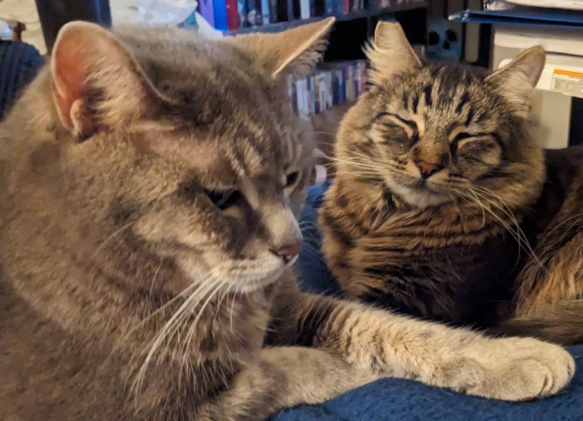 Quasimoto2_1's tweet photo. @StrayLiotta Here is the band cover photo https://t.co/iG65MxQCVj