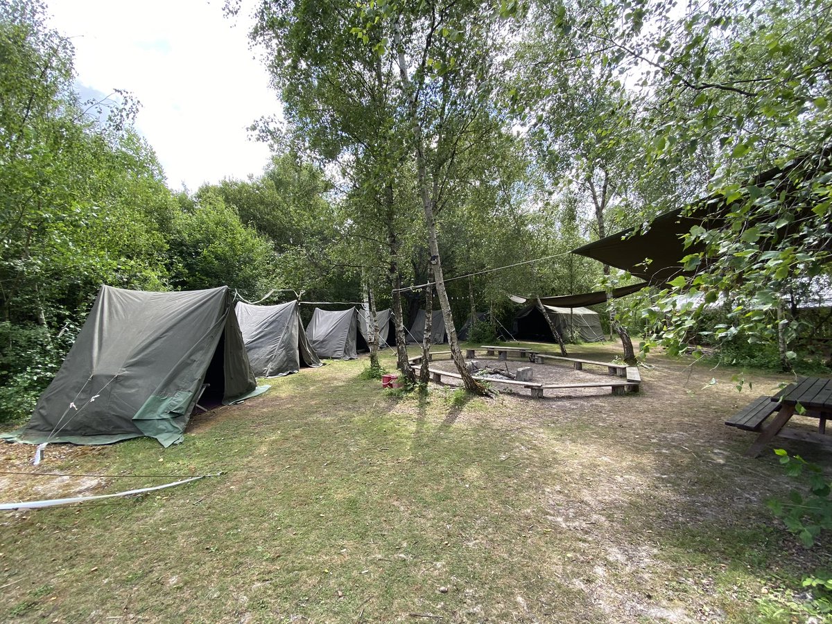 St Stephen's Junior School tweet media