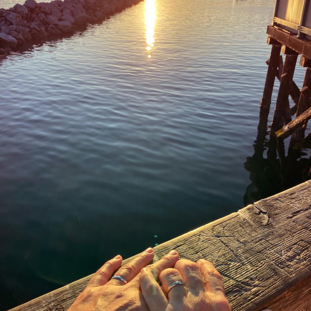 Bonnie Ferrar tweet media