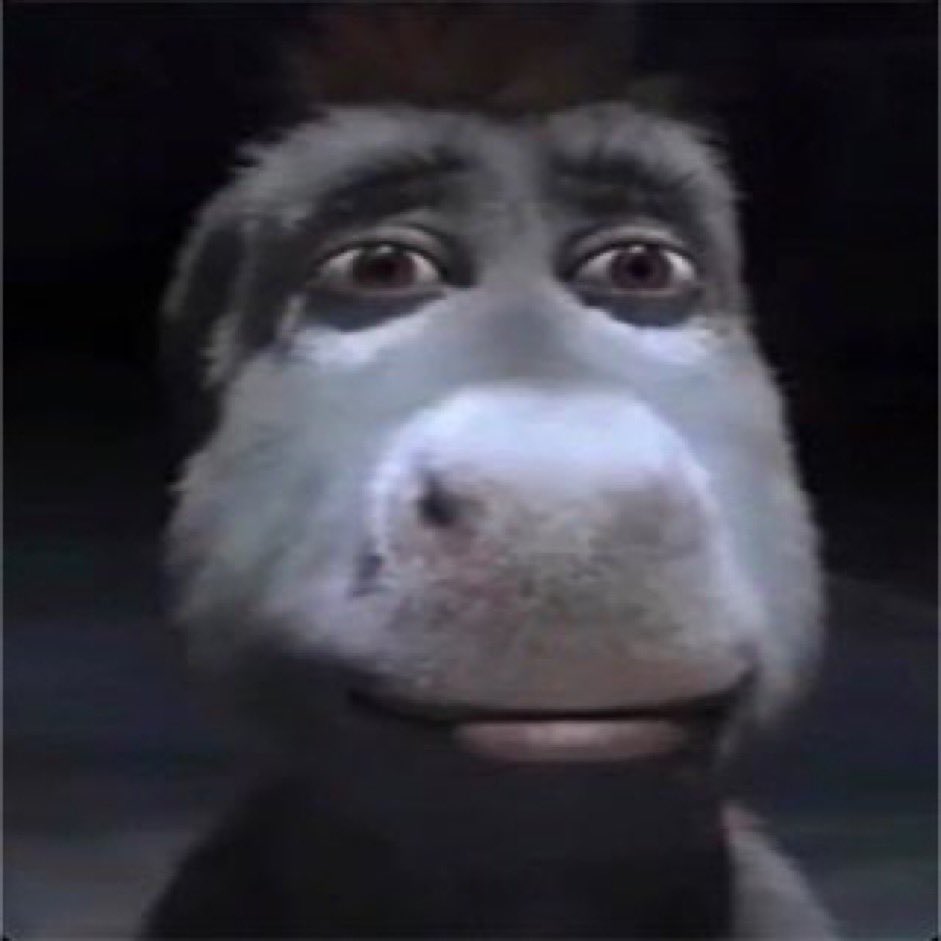 shambles tweet media