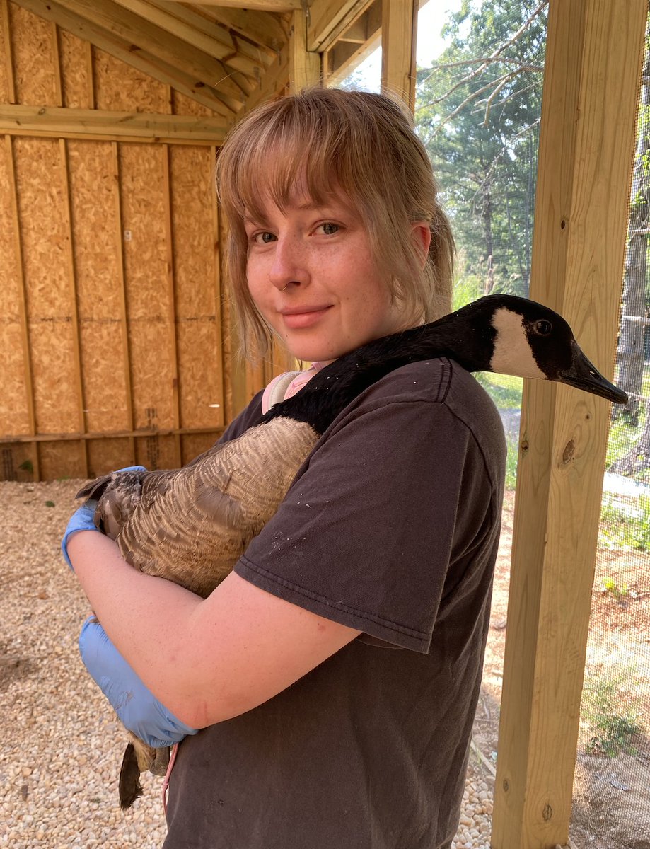 SWVAWildlifeCenter 1-540-798-9836 tweet media
