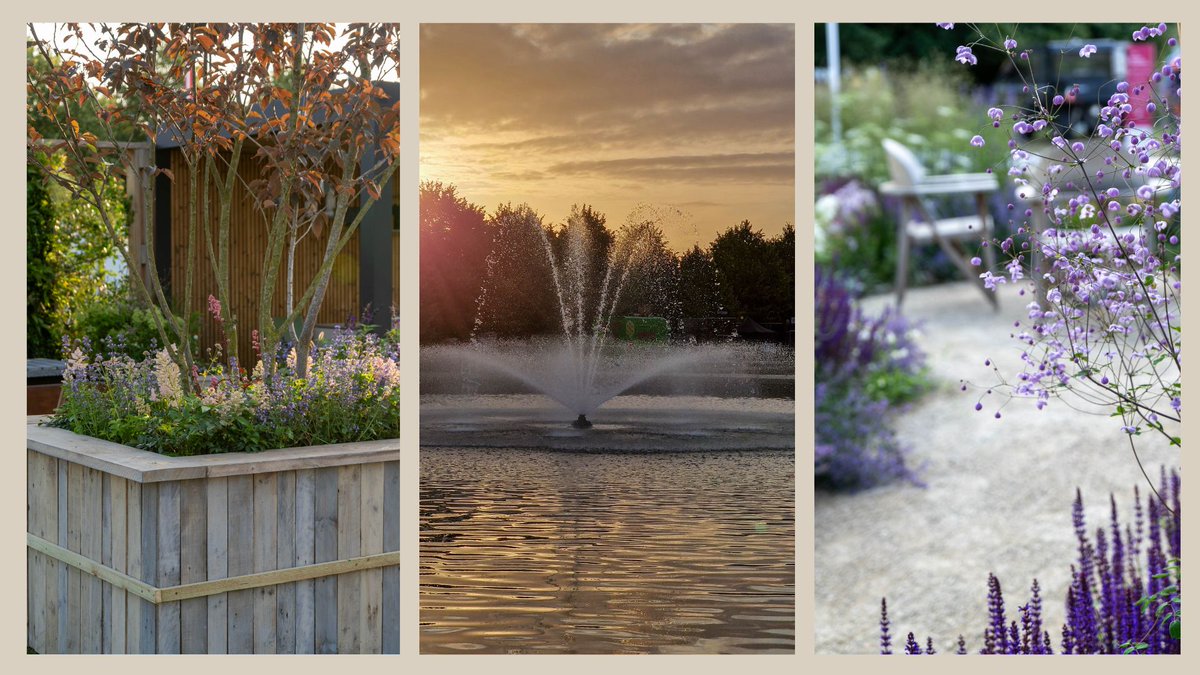 Alexandra Campbell tweet media