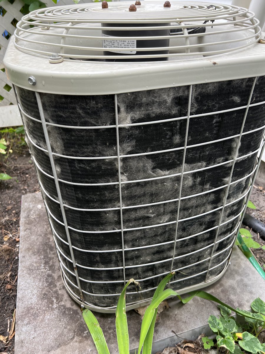 JerryAtCrary's tweet image. To help keep our A/C running more efficiently this looks like the second time I need to vacuum cottonwood seeds from the condenser coil. The first time it was totally covered! FYI, if you had lots of cottonwood seeds this year. #GrandForks #GrandForksHomes #GrandForksRealEstate