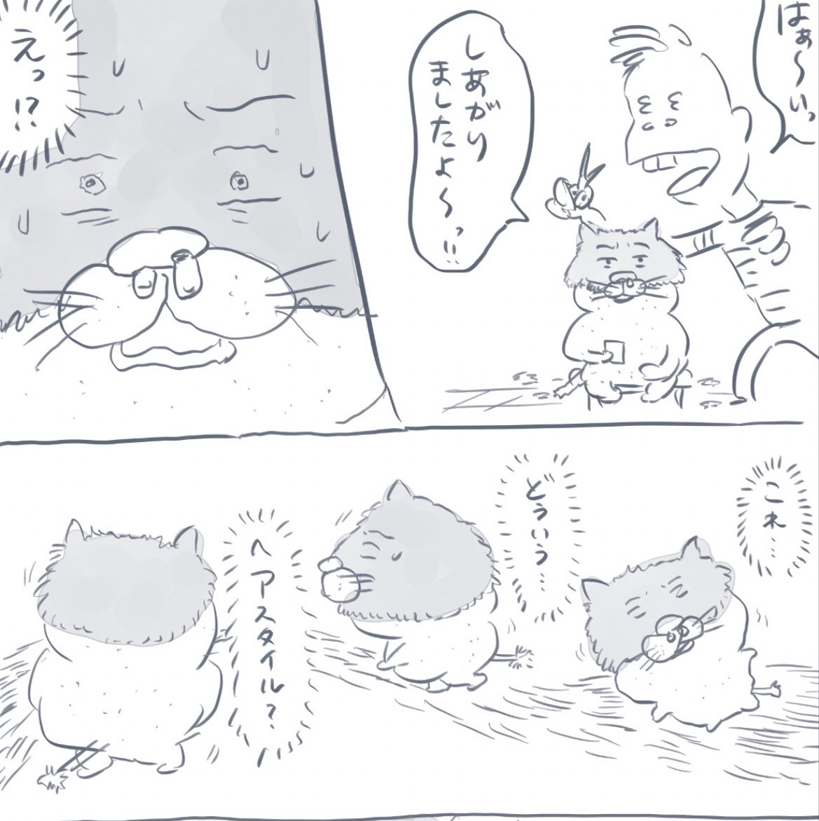 実話 https://t.co/XC6TJNWuuD