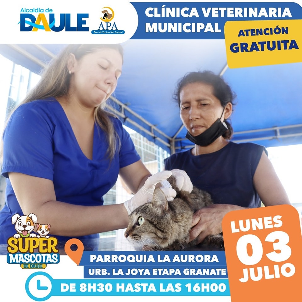 ¡Atención! Estimados residentes de Granate, hoy la <a href="/AlcaldiadeDaule/">Alcaldía de Daule</a> estará con su clínica móvil veterinaria, desde las 08h30 a 16h00. Cuidar de nuestras mascotas es importante.