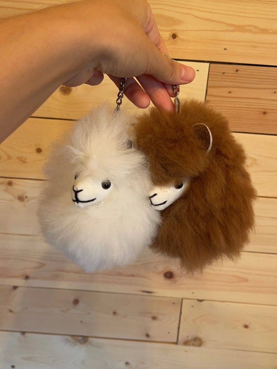 Animal world, beautiful and interesting