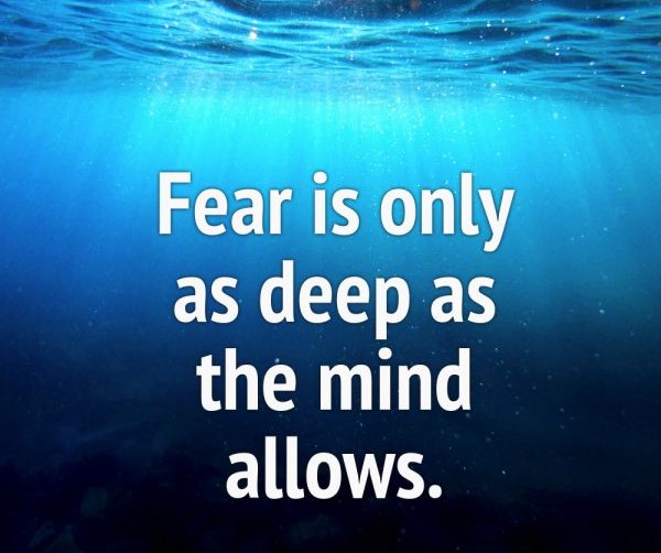 RamNischal's tweet photo. Fear is like a swimming pool, it can only go as deep as your mind is willing to dive
Don't be scared to fall on your face and get laughed at by people who will never even try. Their punishment is in the life they have to live every single day. Keep moving. It will all be worth it https://t.co/fMvxYg5EQC