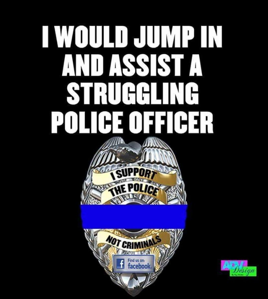 I WOULD JUMP IN AND ASSIST A STRUGGLING POLICE OFFICER: