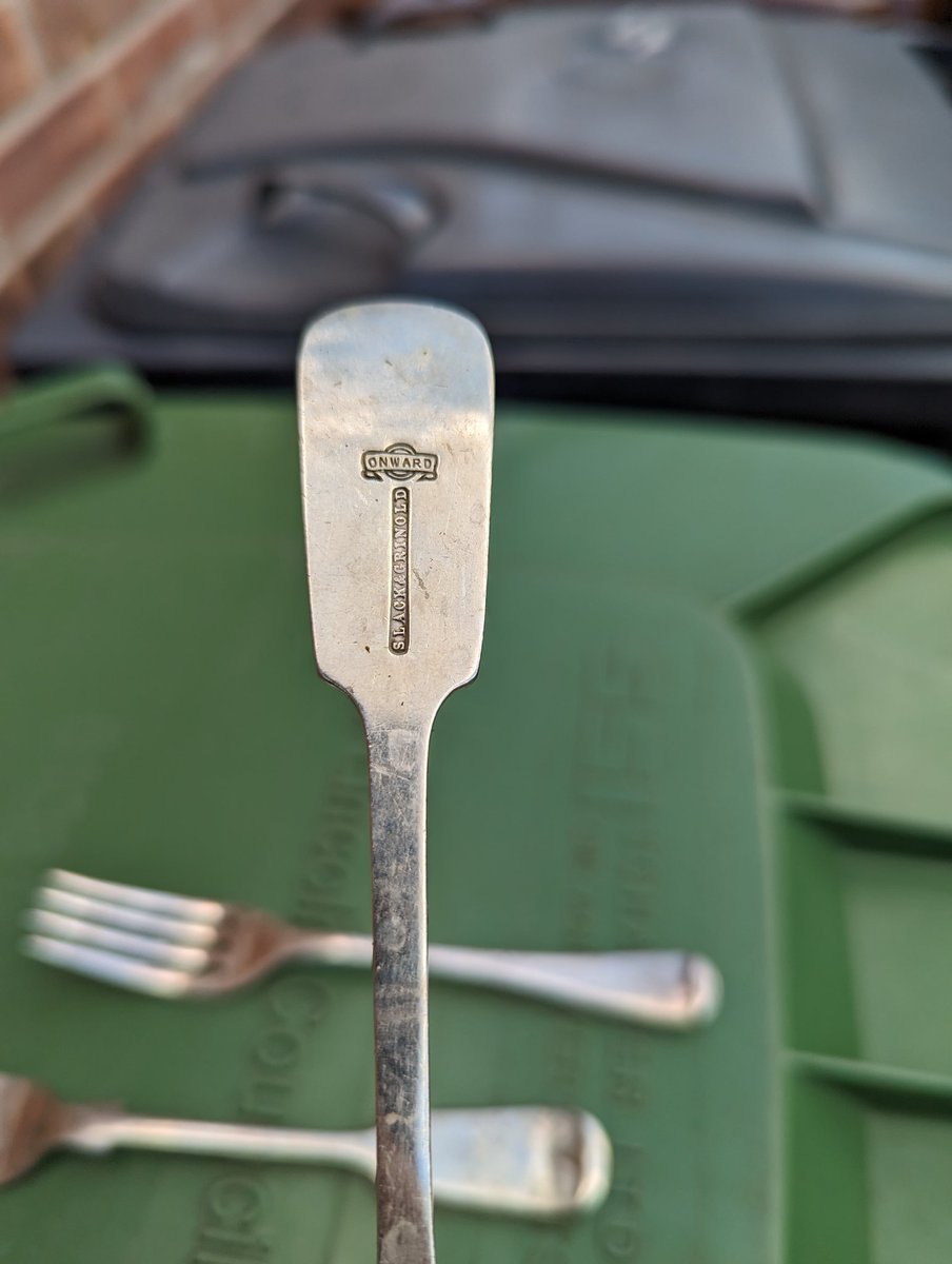 You do find some odd things whilst litter picking. Didn't bin them or put them in recycling but I've no idea what to do with them now 💚