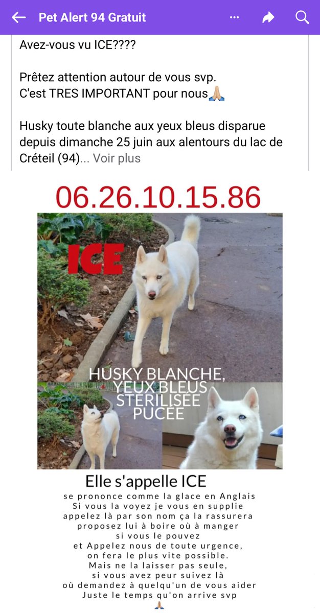 EvaFraguas's tweet photo. ALERTE ENLÈVEMENT !
Ice aurait été aperçue il y a 1h au métro Creteil préfecture avec une dame asiatique. Disparue depuis le 25 juin, plusieurs personnes l’ont vu à Créteil université métro et maintenant préfecture. Svp, vos partages peuvent nous permettre de la retrouver🙏🏻 Pitié https://t.co/eNc3grrbHH