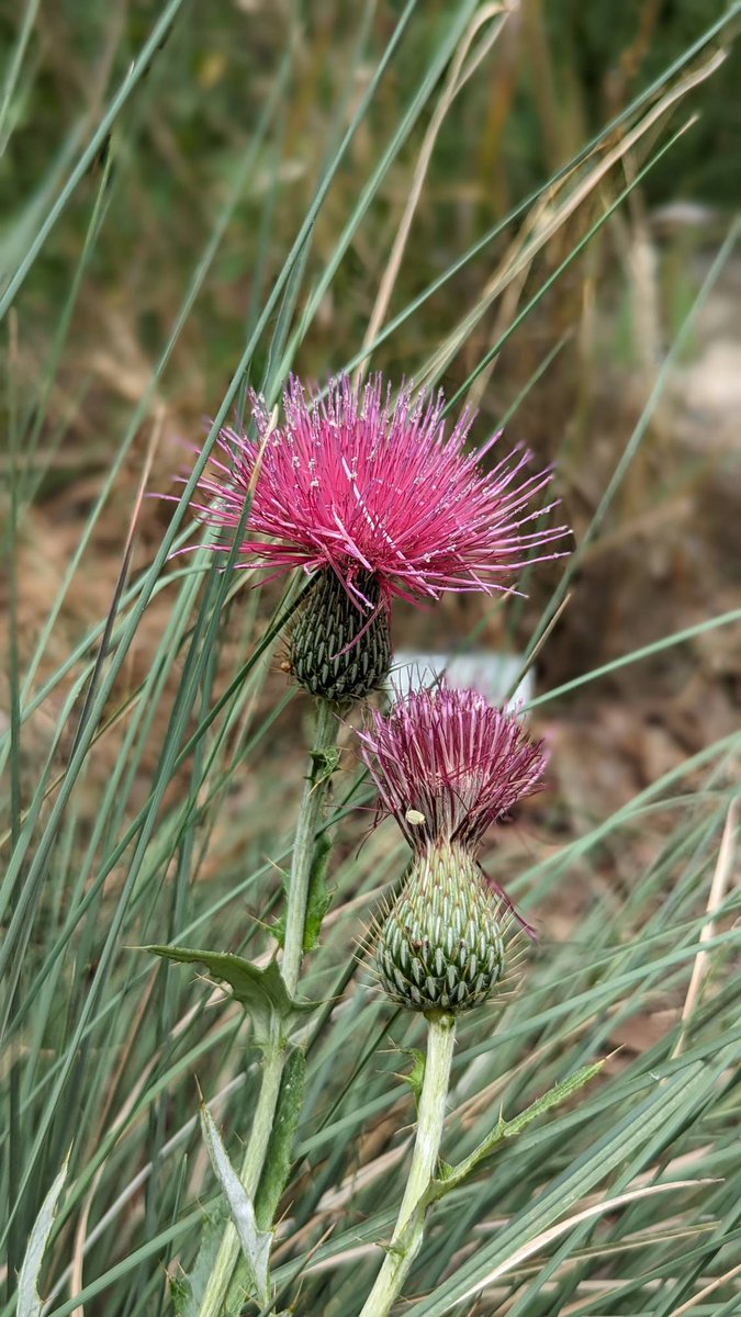 A quick reminder that we will be closed tomorrow for the 4th!