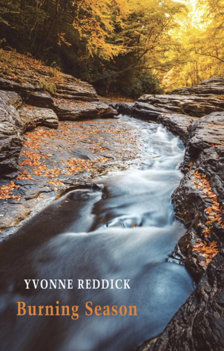 YvonneReddick's tweet photo. Thank you @Mslexia and Ellora for this lovely review. Mslexia and @SerenBooks brought out my mountain pamphlet! ♥️ And I’m next to Monica Youn and Ness Owen too! Thank you Mairi Oliver @thebookseller for your generous review. #ecopoetry #energyhumanities #newbooks @BloodaxeBooks https://t.co/dNmXty86Aw