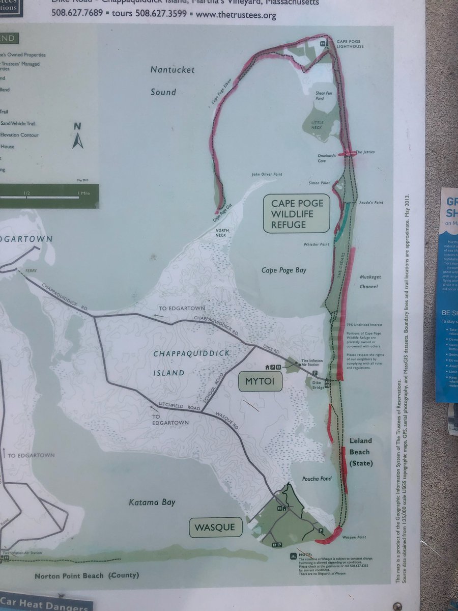 TheTrusteesMV's tweet image. #beachupdatesMV beaches are accreting sand. Some chicks have fledged. New openings on #CapePogeWildlifeRefuge and #LelandBeach