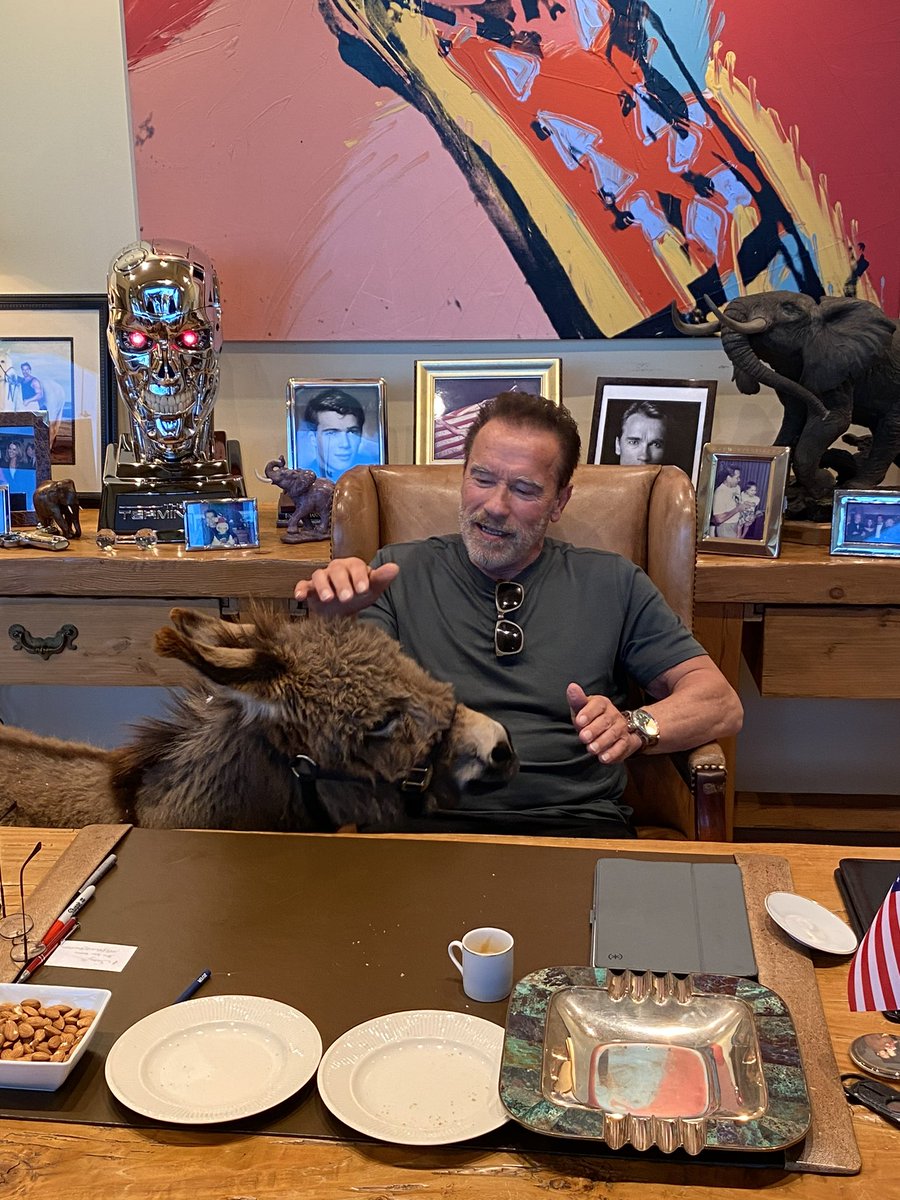 Arnold Schwarzenegger tweet media