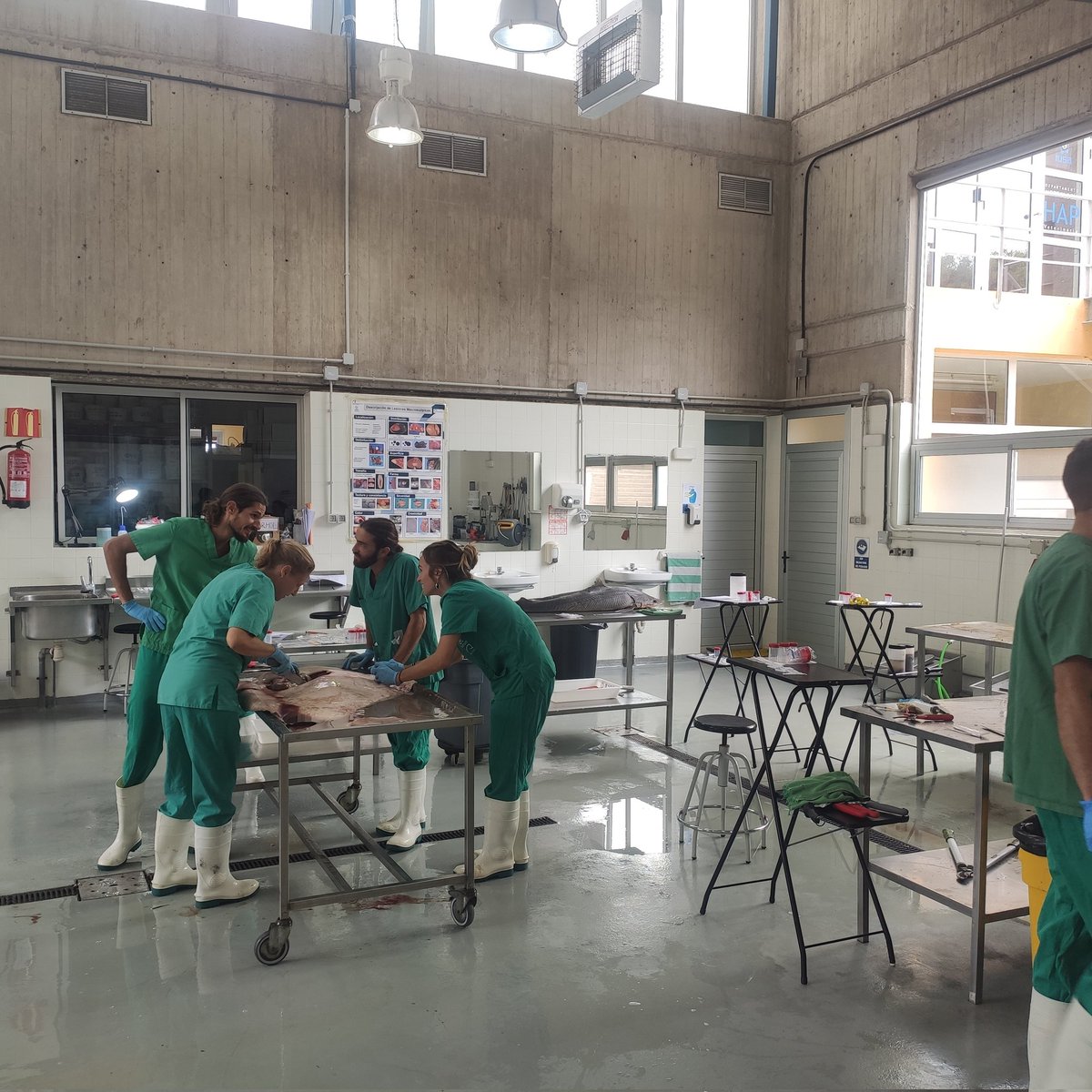 IUSAeu's tweet photo. El día a día en Sala de necropsias ... @ULPGC https://t.co/HrafNmczIT