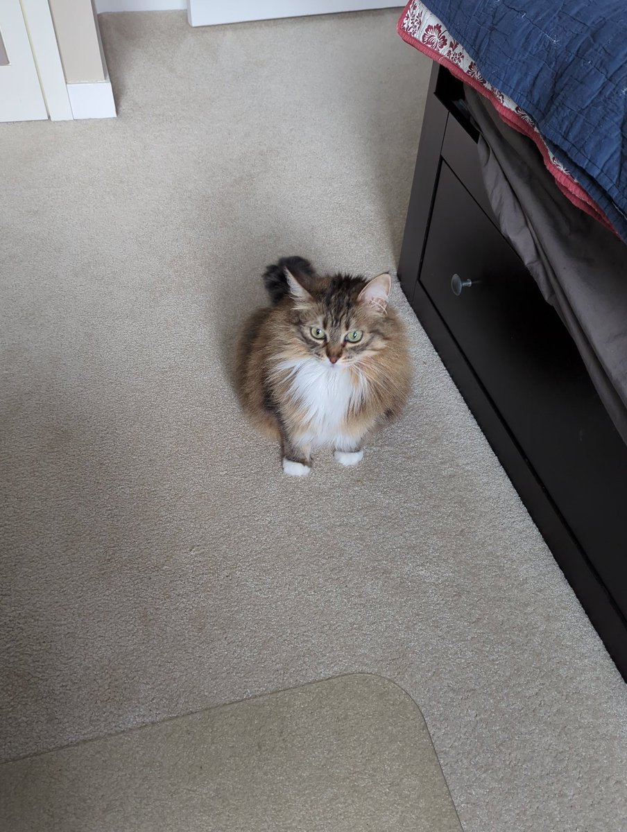 Tneey (@tcourtice) on Twitter photo 