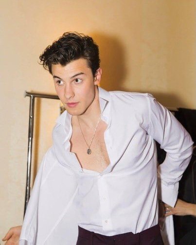 PrezKen1's tweet photo. Beautiful @ShawnMendes  ♥️🥰 https://t.co/jql1xe26IP