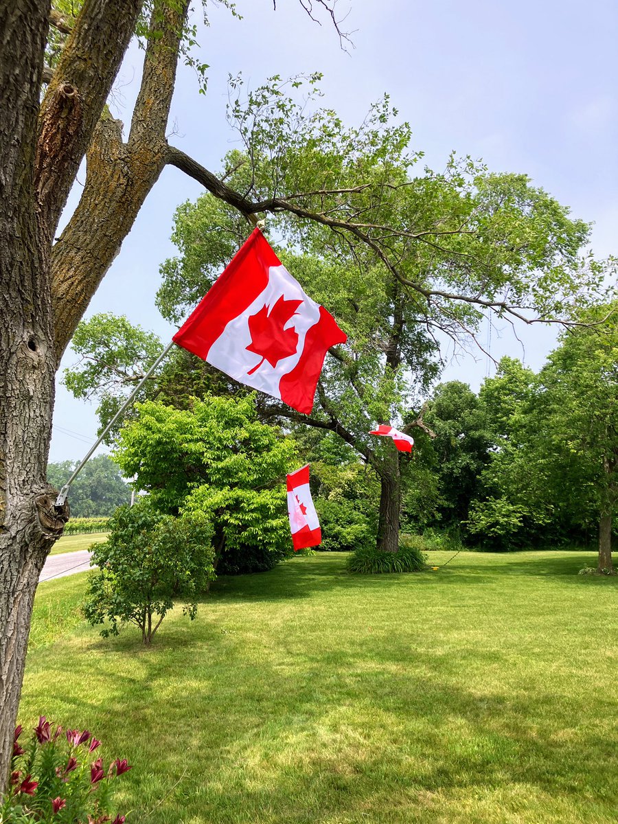 va3ksf's tweet photo. Three Lambton County Radio Club (Canada) members (VE3GNF, VA3KWZ and VA3KSF) recently ran a very successful 2023 RAC Canada Day Contest from Pelee Island, Ontario. Just shy of 500 HF contacts were made by the team from the southernmost populated place in Canada. https://t.co/rtTqek1nAo
