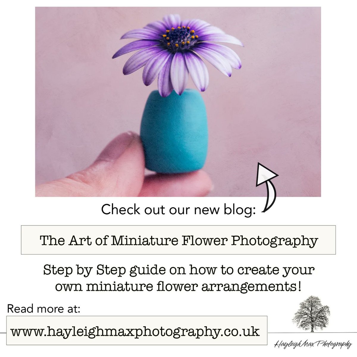 Hayleigh_Max's tweet photo. Check out our latest blog 👇
  https://t.co/4X7djife9w

#Flowers #FlowerPower #art #blogger #Blogs #photography #photographylovers #Macro #miniature #FLOWERchallenge https://t.co/CJdWcwBHyU