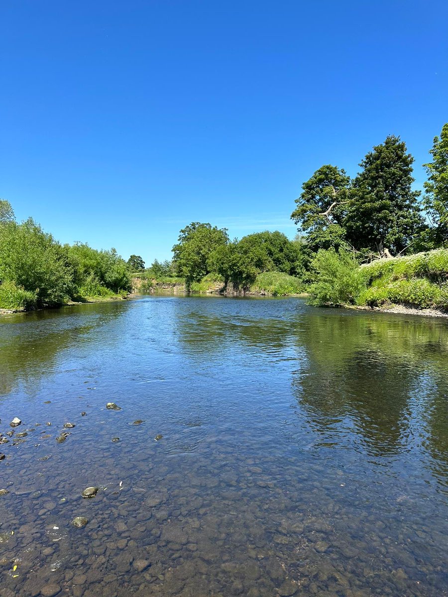 JOB! Here! Come join us. Assistant Prof. Open call, so let’s go for body, multisensory, VR, development … Durham is a great place to live and work.  Please RT &amp; feel free to contact me as needed.
tinyurl.com/durhamjob2023