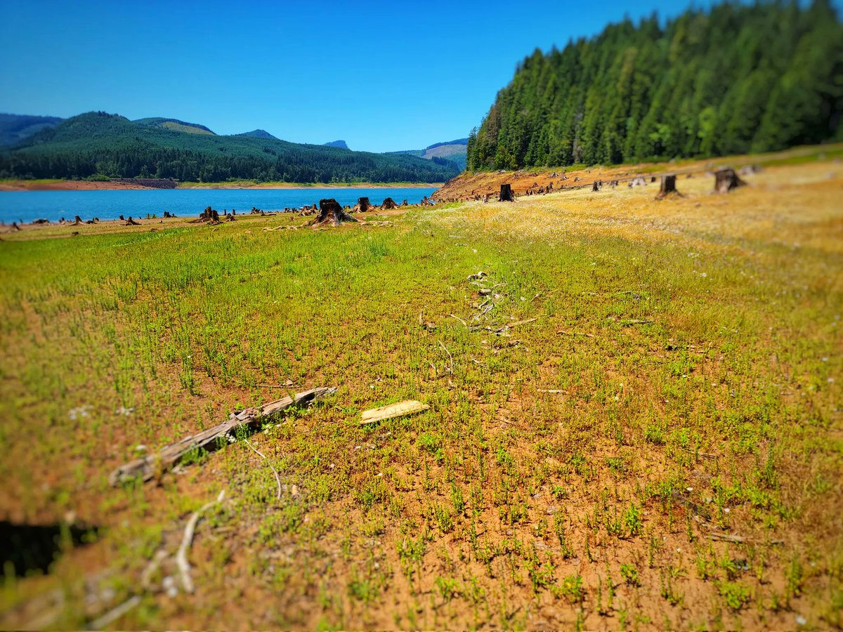 Beautiful Oregon tweet media