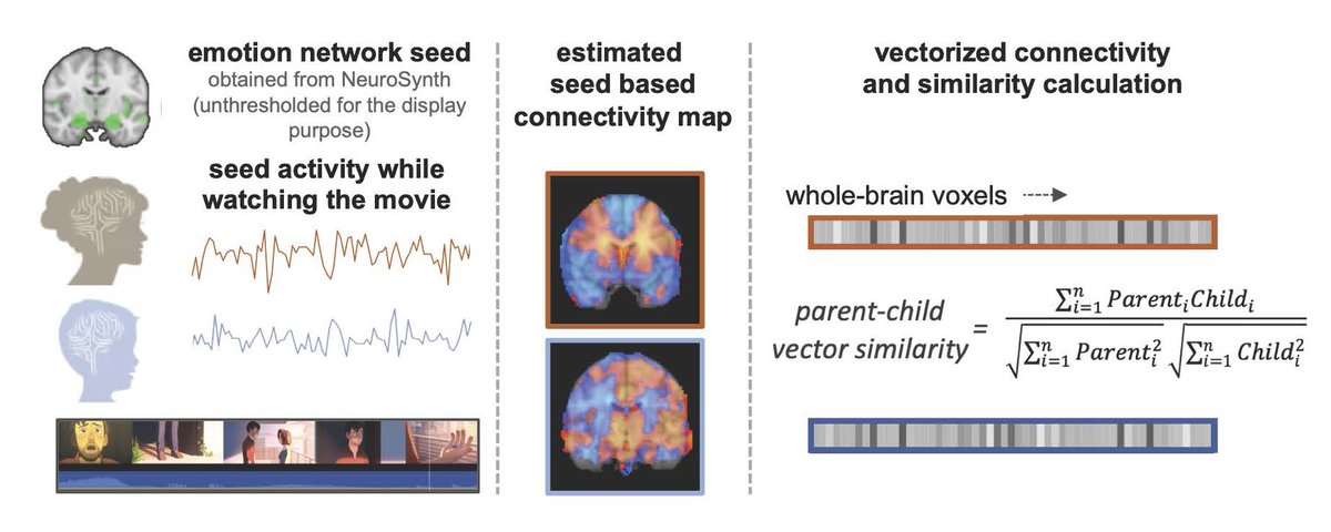 SfNJournals's tweet image. #JNeurosci: Zhou et al. @VT_Psychology @ANDLabVTZhou found higher parent-child similarity in functional connectivity pattern during movie viewing was associated w/ better emotional adjustment in youths, among families w/ higher emotional bonding &amp;amp; support.
jneurosci.org/lookup/DOI/10.…