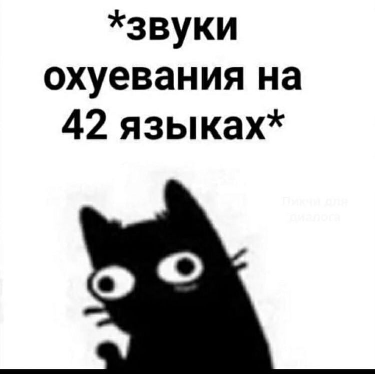 ChuloJose3's tweet photo. Я пью увеличенную дозу антидепрессантов, чтобы меня попускало..
И снова я,которая при этом читает книги,которые меня убивают изнутри✨✨✨✨
#дединсайд #долбоеб #книги https://t.co/vk910XEwIc