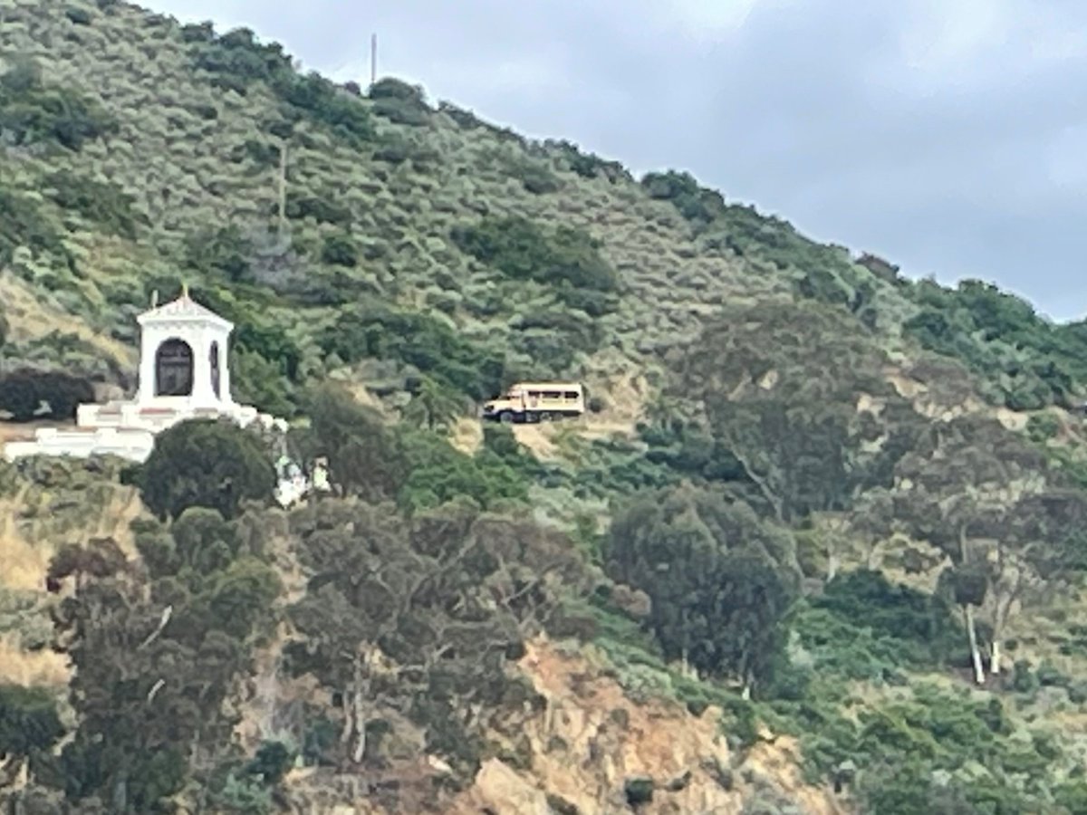 CatalinaTours's tweet photo. Here's our military truck "The General" on the Avalon City Terrace Tour.  Come and join us on one of our tours of the Island or in our Submarine "The Nautilus." https://t.co/lBB3S9pYt6