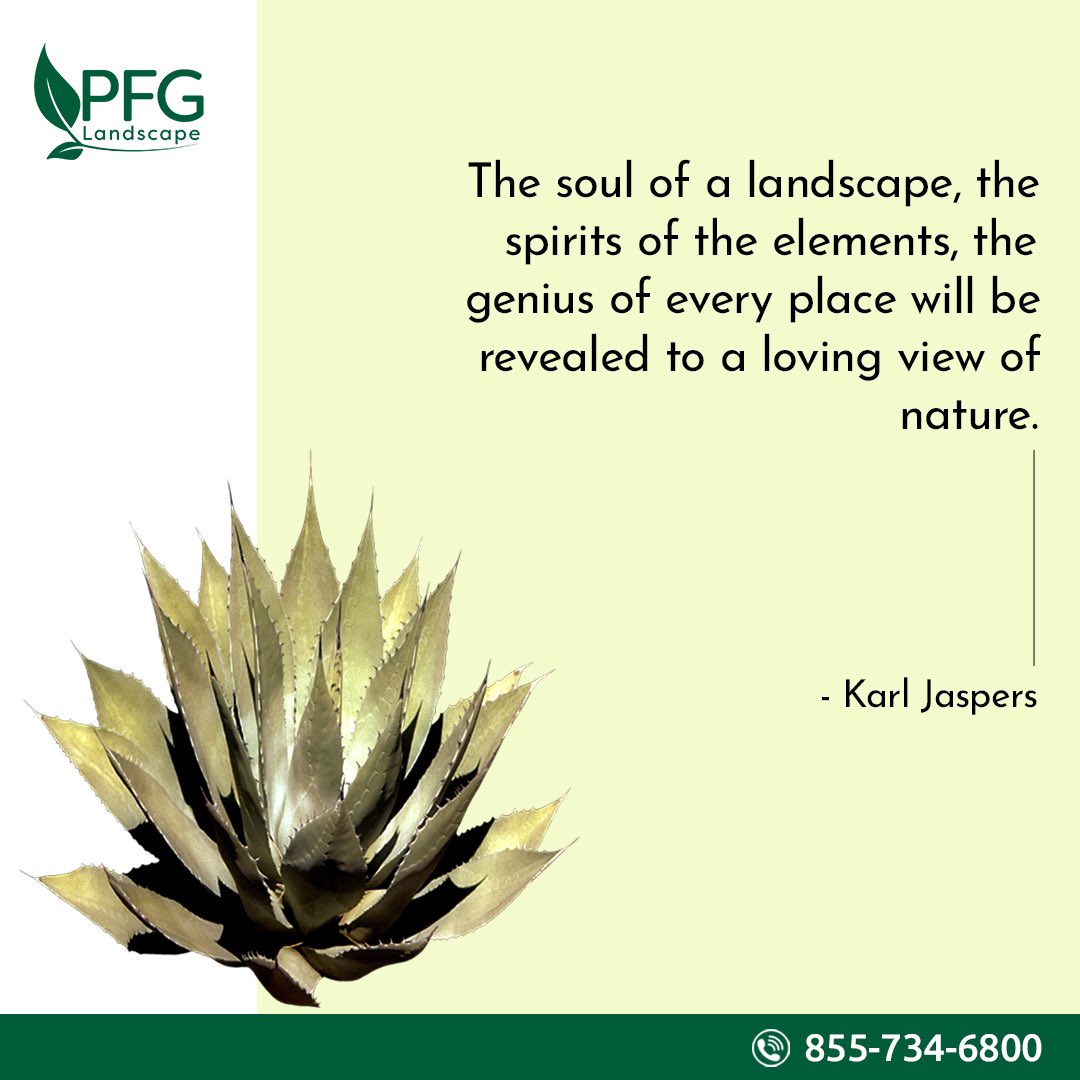 The breath of nature will inspire you to begin your week with a fresh start and a clear perspective. Keep your surroundings beautiful and lustrous with the help of PFG Landscape. 

#PFGLandscape #landscapingservices #mondaymotivation #mondayvibes