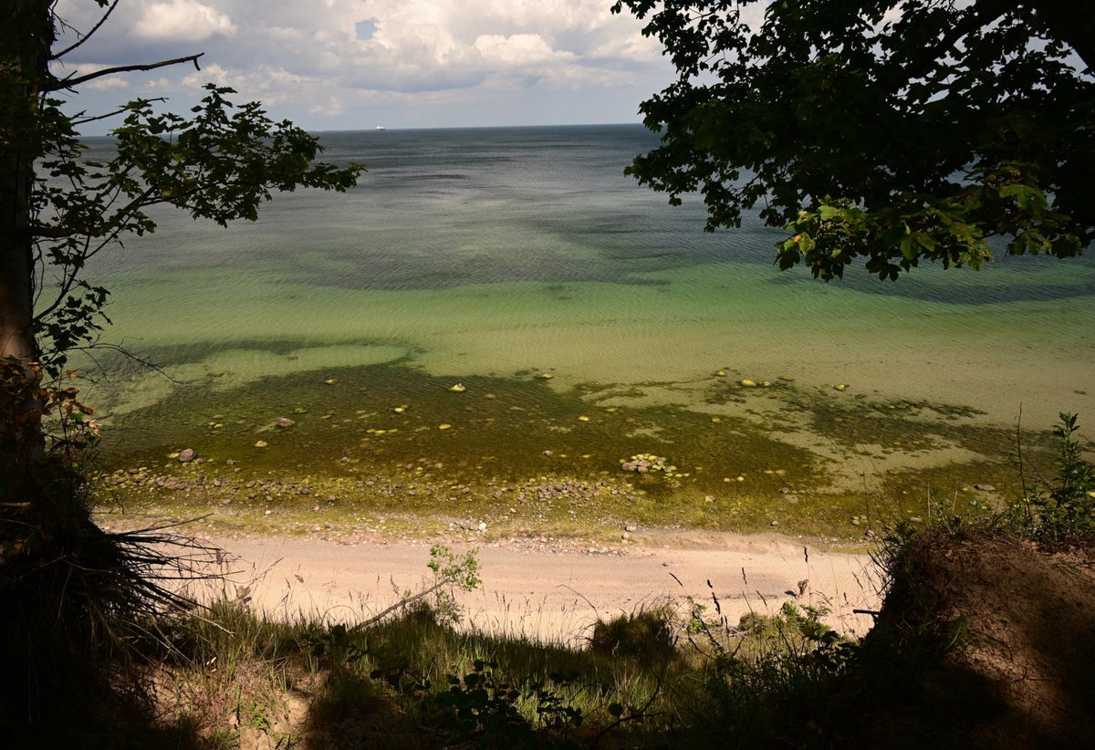 EconomicEthics's tweet photo. #Urlaub #Strand #Baabe #Sellin #Ruegen 2023 https://t.co/PHrc5Hf5Ww
