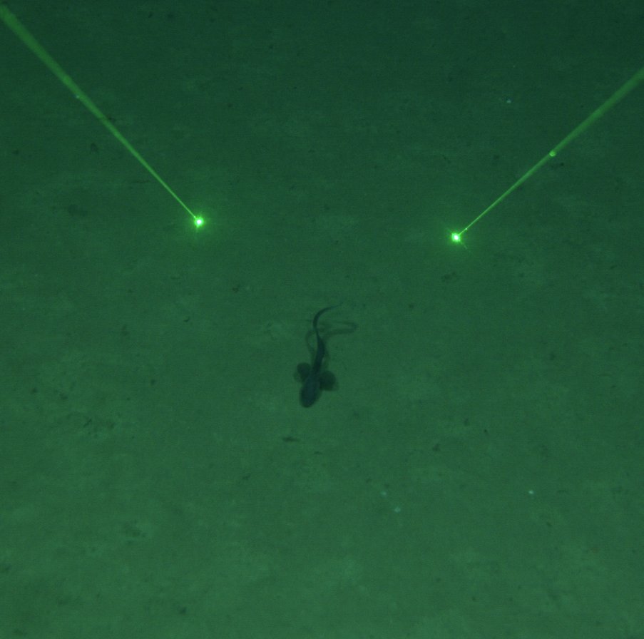 Space Oceans OAST tweet media