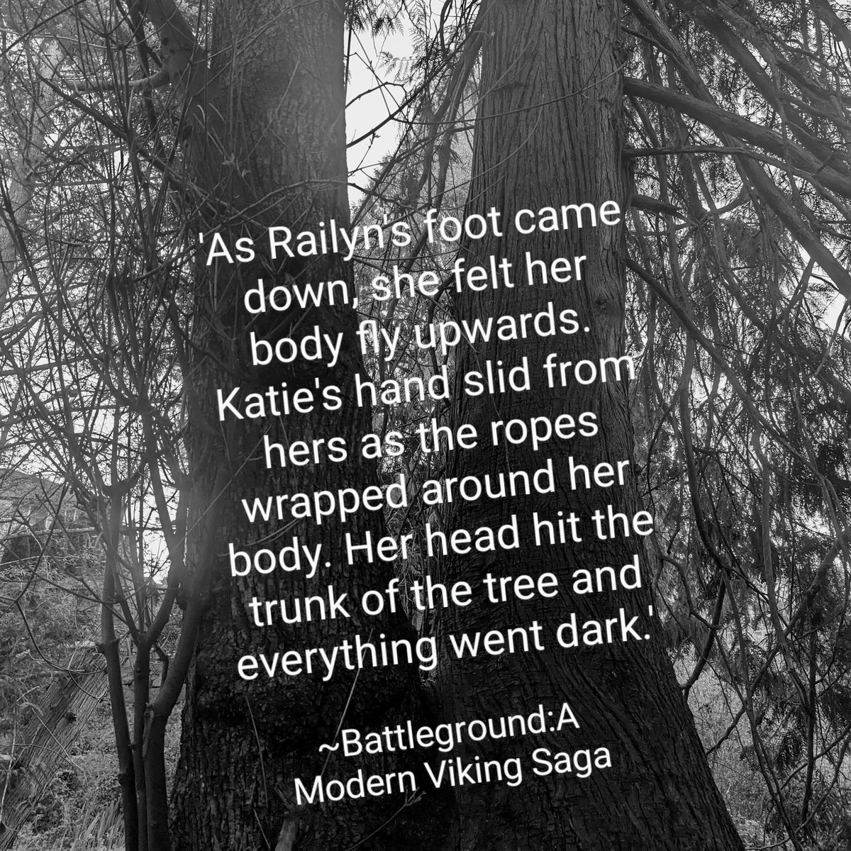 tlnormanwriter's tweet photo. Battleground-A Modern Viking Saga Fall 2023 #modernviking #writerslife #fiction https://t.co/wVtN3Lv89t