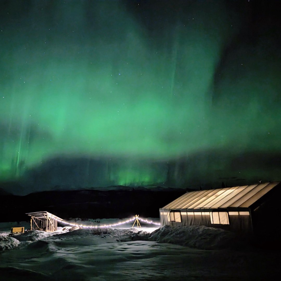 Exciting news! EPIC NORTH Tour Experiences is now taking reservations for our popular Northern Lights Viewing tours! 🎉 Reserve your spot today at epic-north.com #EPICNORTH #NorthernLights #AuroraHunting #BookNow #Aurora #AuroraBorealis #NorthernLights