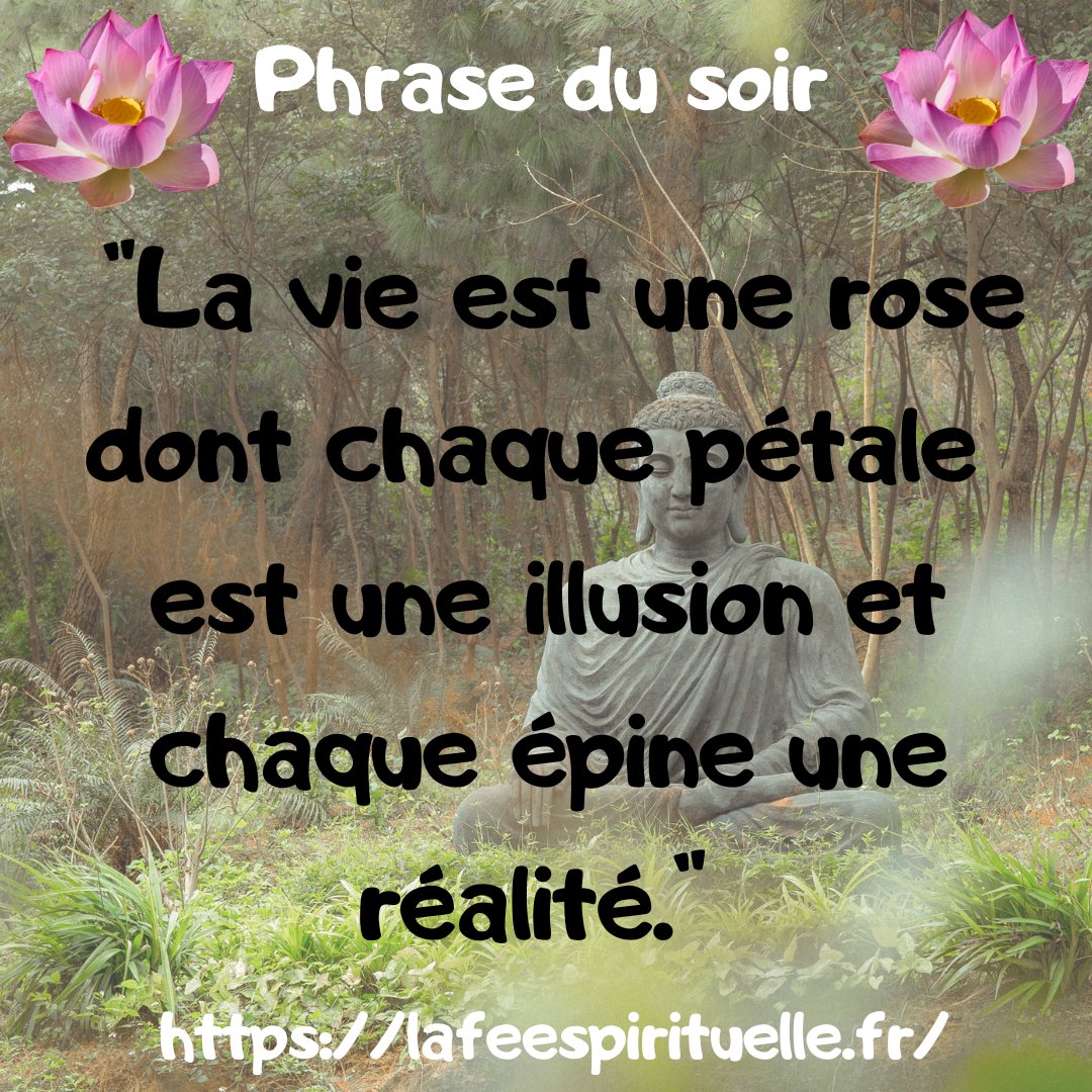 feespirituelle's tweet photo. 📷Message du soir 📷
https://t.co/1YIqXE6wgZ
#citationpositive #citationspirituelle #zenattitude https://t.co/JgmPT5ekTz