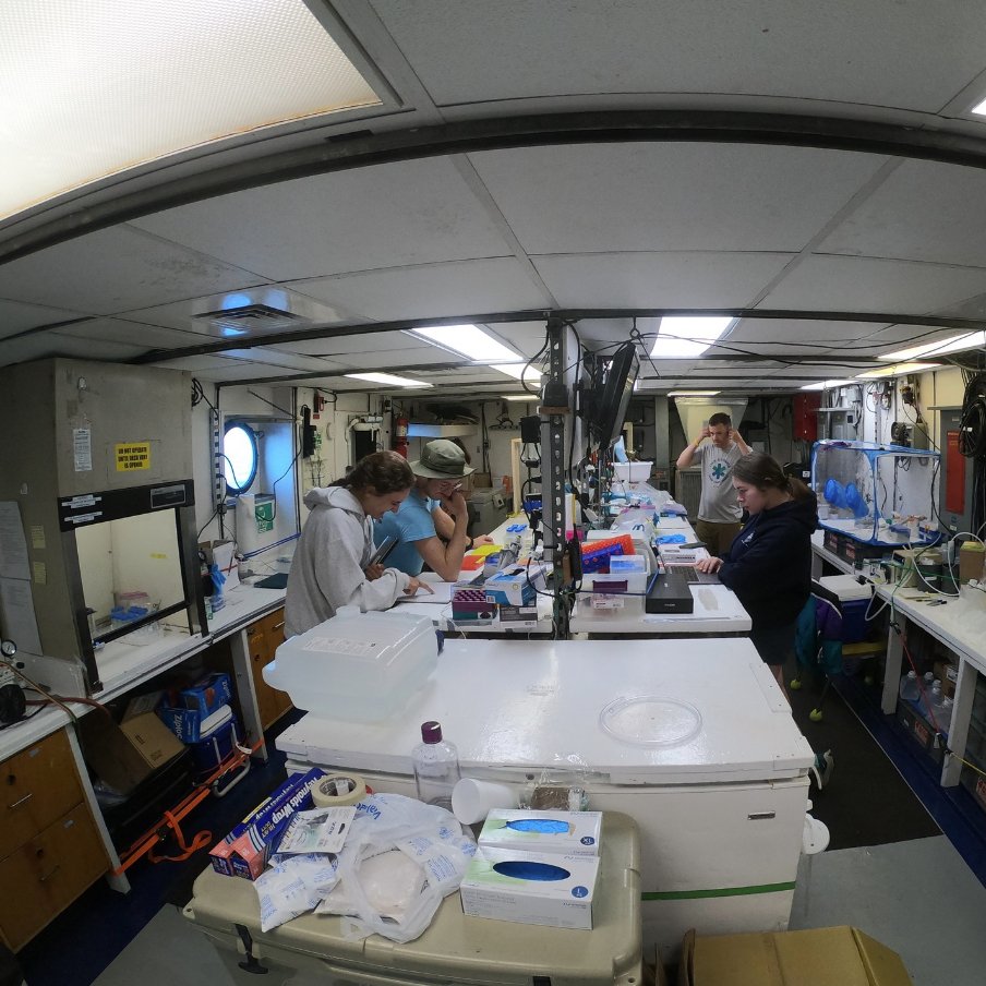 DHABs like Orca Basin provide essential information on the coevolution of biological communities and their geologic niches, and on the limits of life under conditions relevant to contemporary oceans on Europa, Enceladus, other icy moons, and past oceans on Mars. #NASAAstrobiology