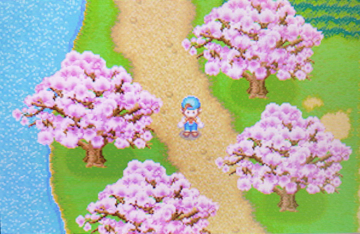twinkle_twin22's tweet photo. I found my old copy of Harvest Moon for the Nintendo DS. The nostalgia! And the pixel art is so good.☺️💕
I never had the "cute" version where you can play as a girl but looking at all the bachelors, I wouldn't want it.😅 https://t.co/DFzTT3Vhu3