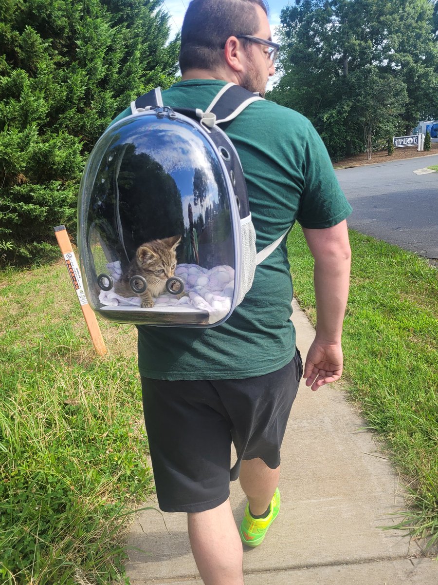 Scorge1011's tweet photo. Took Kadabra on her first of many adventures.  Going to train her to be an adventure cat! https://t.co/WVMUYFz7Rm