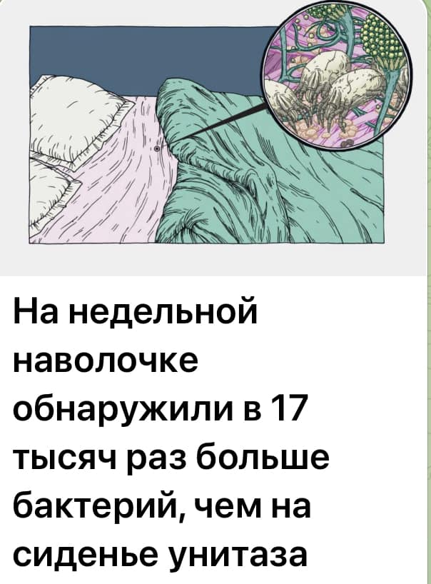 watermelonONK's tweet photo. Выход один -- спать на унитазе. 
Ну не наволочку же менять! https://t.co/3kfqiiUEbg