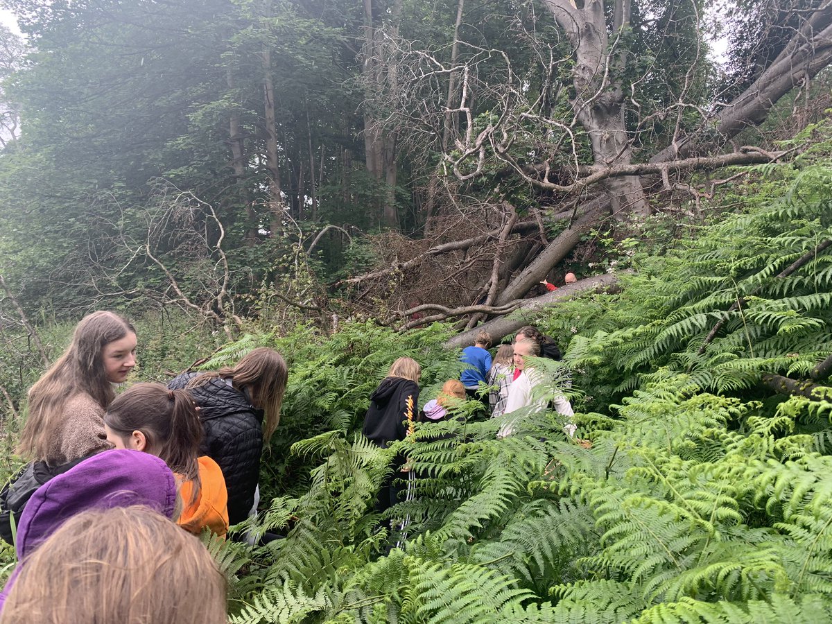 Day 1 of P7 Leavers Festival! Adventure walk - done, Slip &amp; Slide - done! @DycePrimary  #P7Leavers #PupilChoice #LastWeek